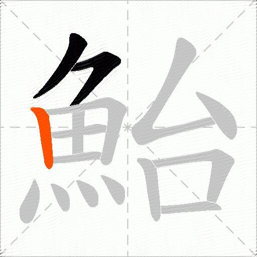 鮐