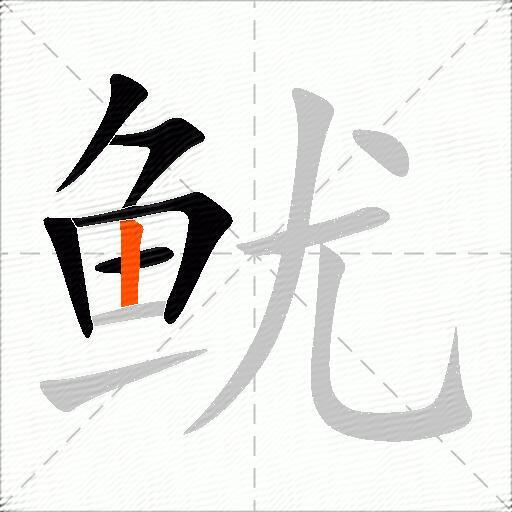 鱿