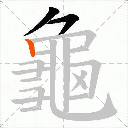 龜