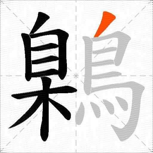 鷍