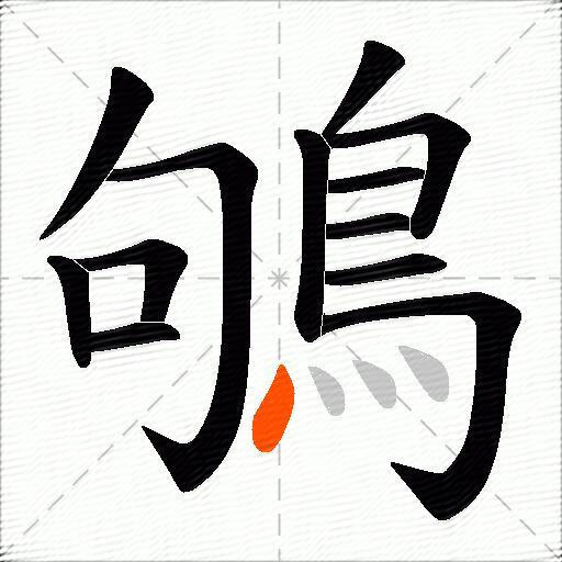 鴝