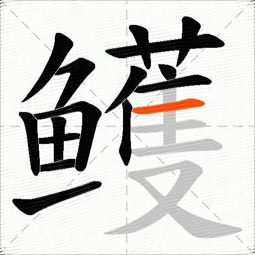 鳠