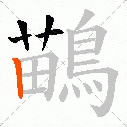 鶓