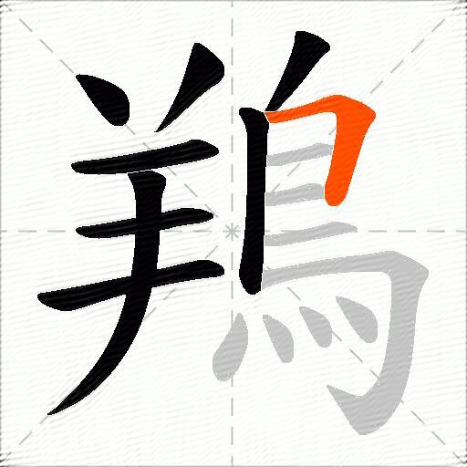 鴹