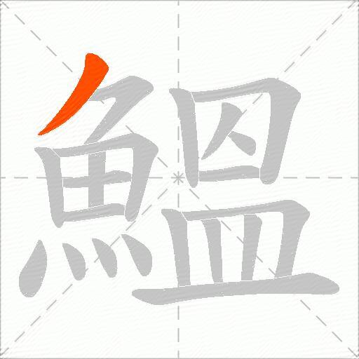 鰮