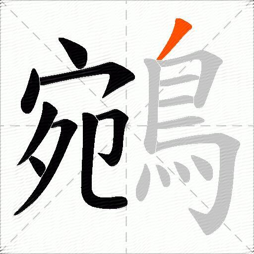 鵷