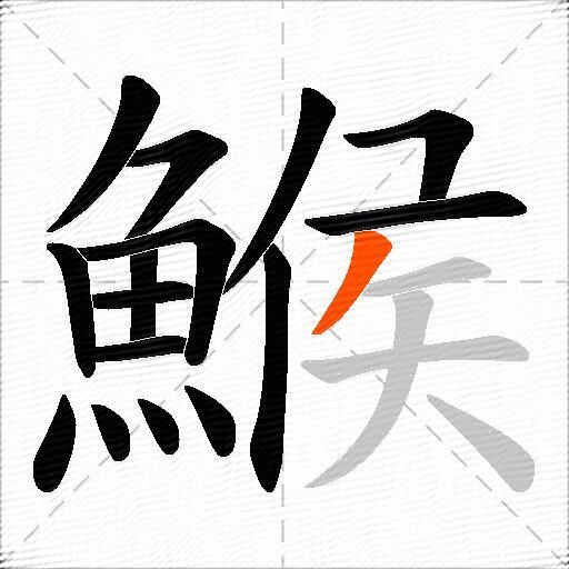 鯸
