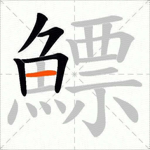 鰾