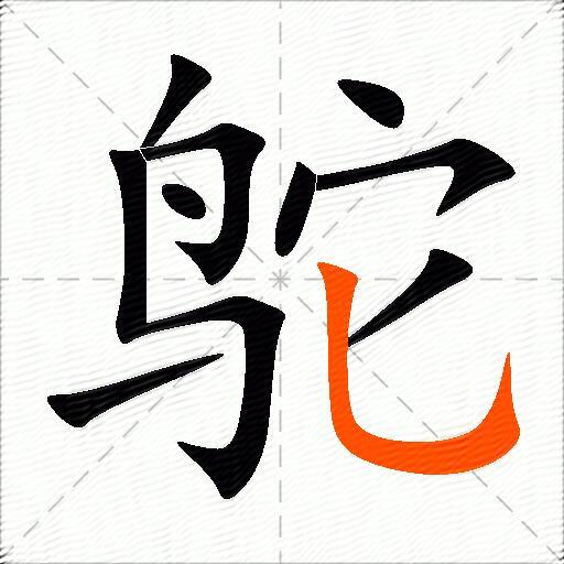 鸵