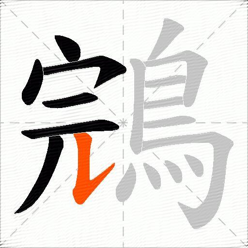 鵍
