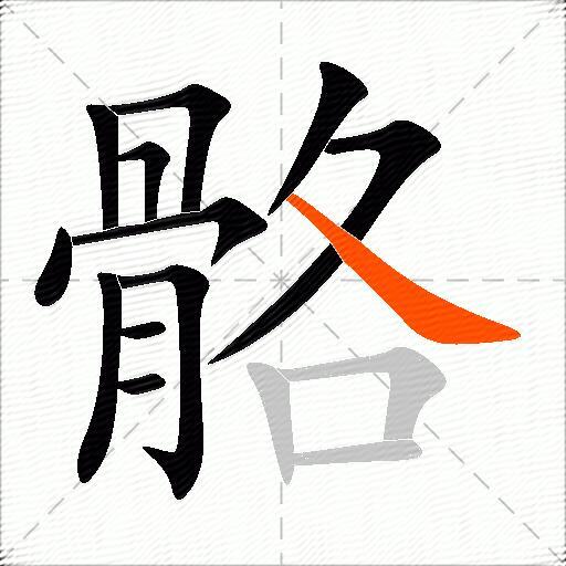 骼