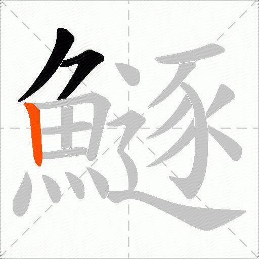 鱁