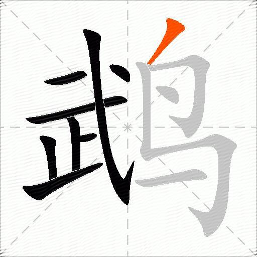 鹉