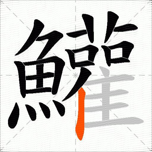 鱹