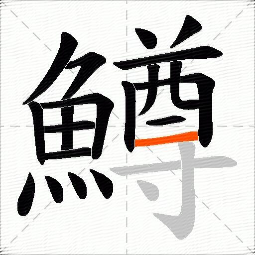 鱒