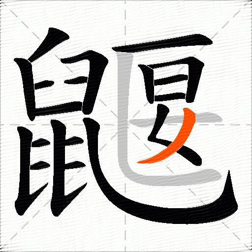 鼴