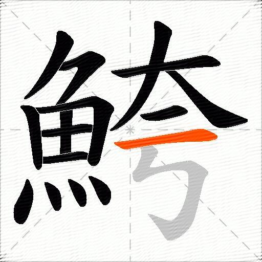 鮬