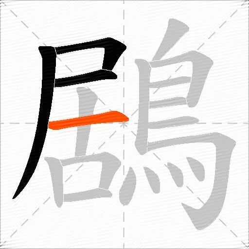 鶋