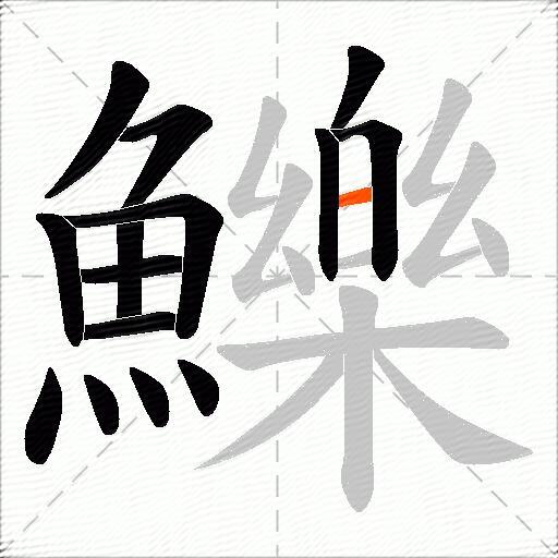 鱳