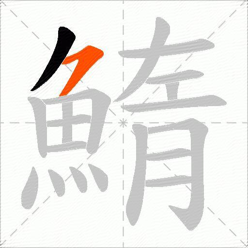 鰖