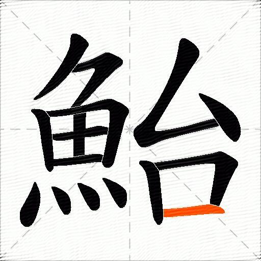 鮐