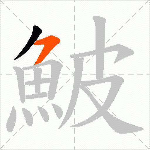 鮍