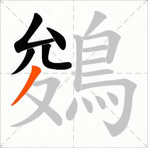 鵕