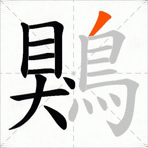 鶪
