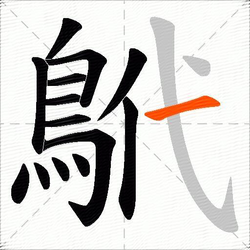 鴏
