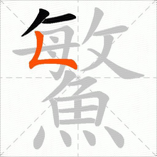 鰵