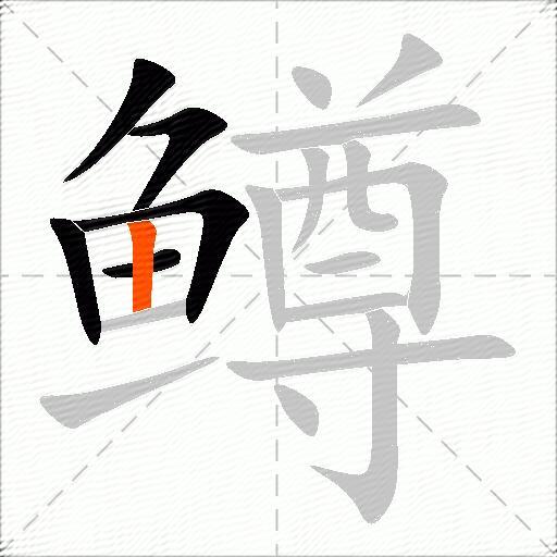 鳟