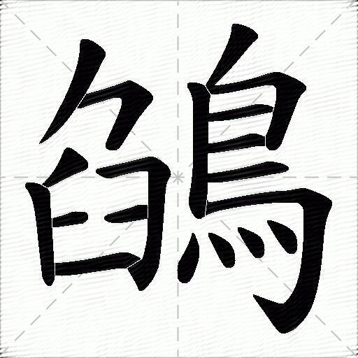 鵮