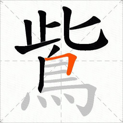 鴜