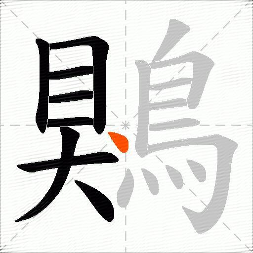 鶪