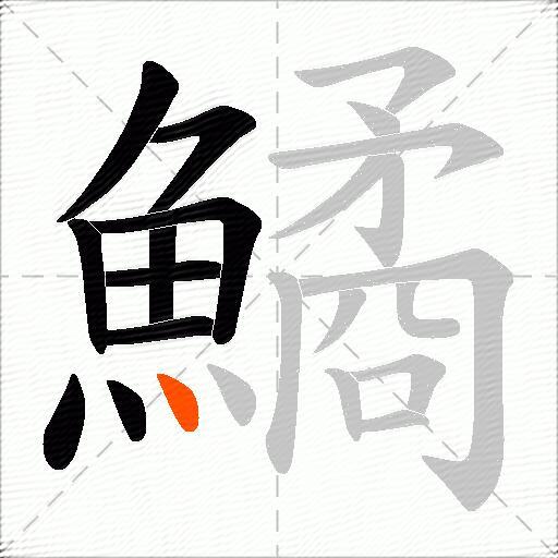 鱊