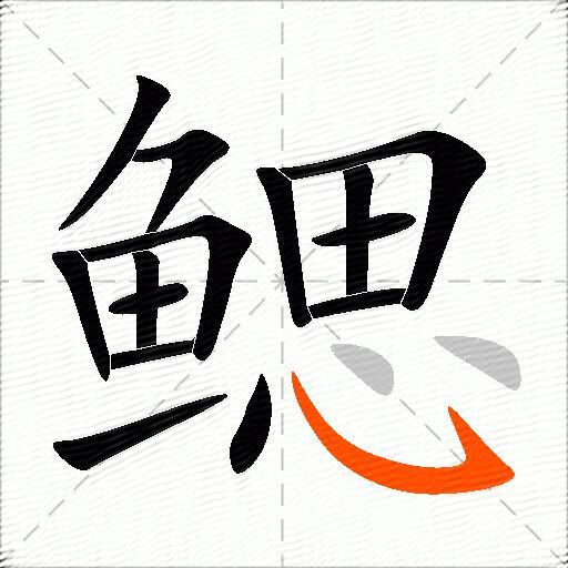 鳃