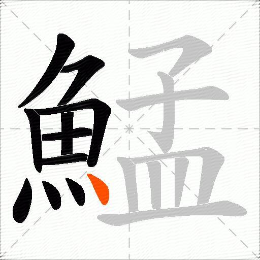 鯭