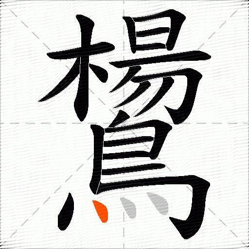 鸉