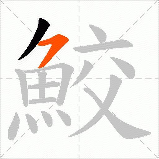 鮫