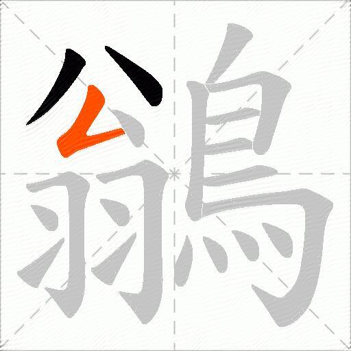 鶲