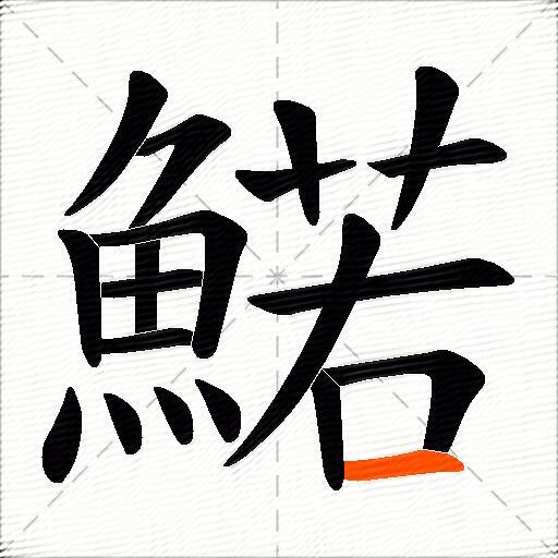 鰙