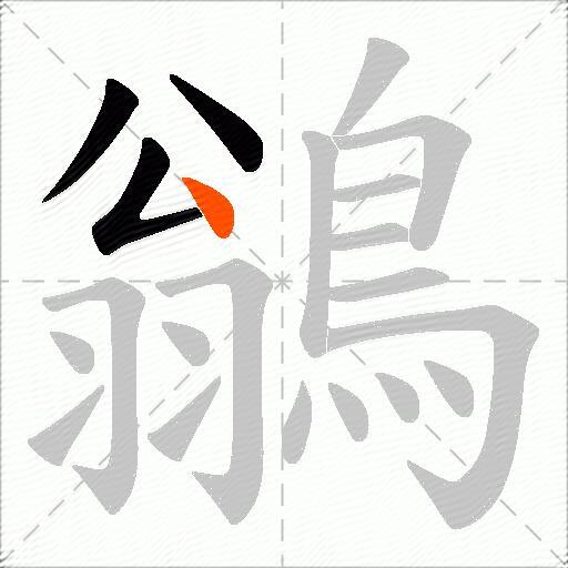 鶲