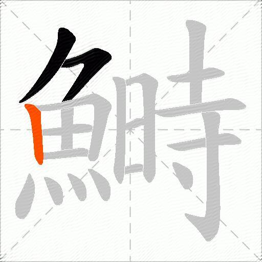 鰣