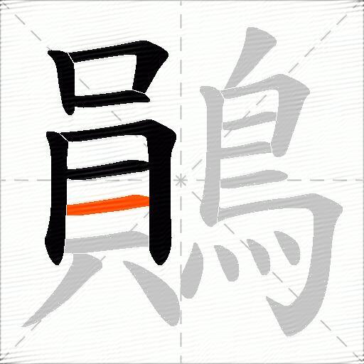 鶰
