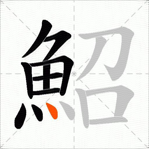 鮉