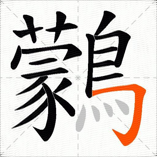 鸏