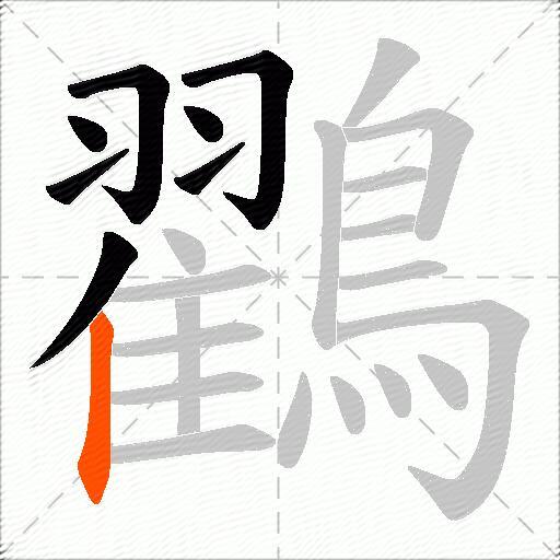 鸐