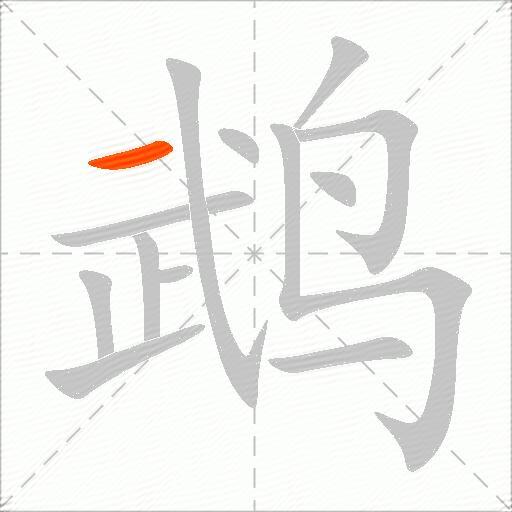 鹉
