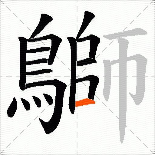 鶳