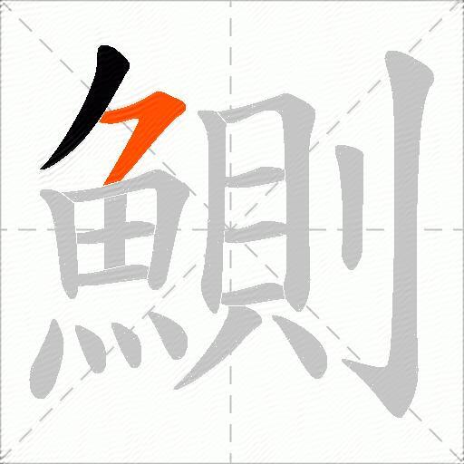 鰂